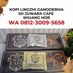 Agen Kopi Ganoderma Jamur Lingzhi SH Juwara Café Shuang Hor