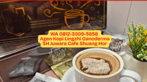 Agen Kopi Lingzhi Ganoderma SH Juwara Cafe Shuang Hor