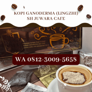 Distributor Kopi Ganoderma Jamur Lingzhi SH Juwara Café Shuang Hor