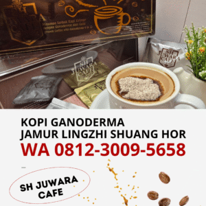 Jual Kopi Ganoderma Jamur Lingzhi SH Juwara Café Shuang Hor