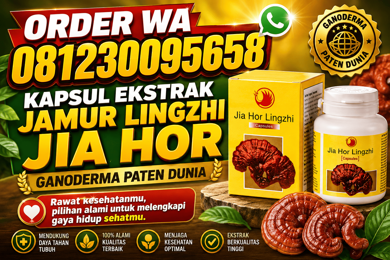 Distributor Kapsul Ekstrak Jamur Lingzhi Jia Hor
