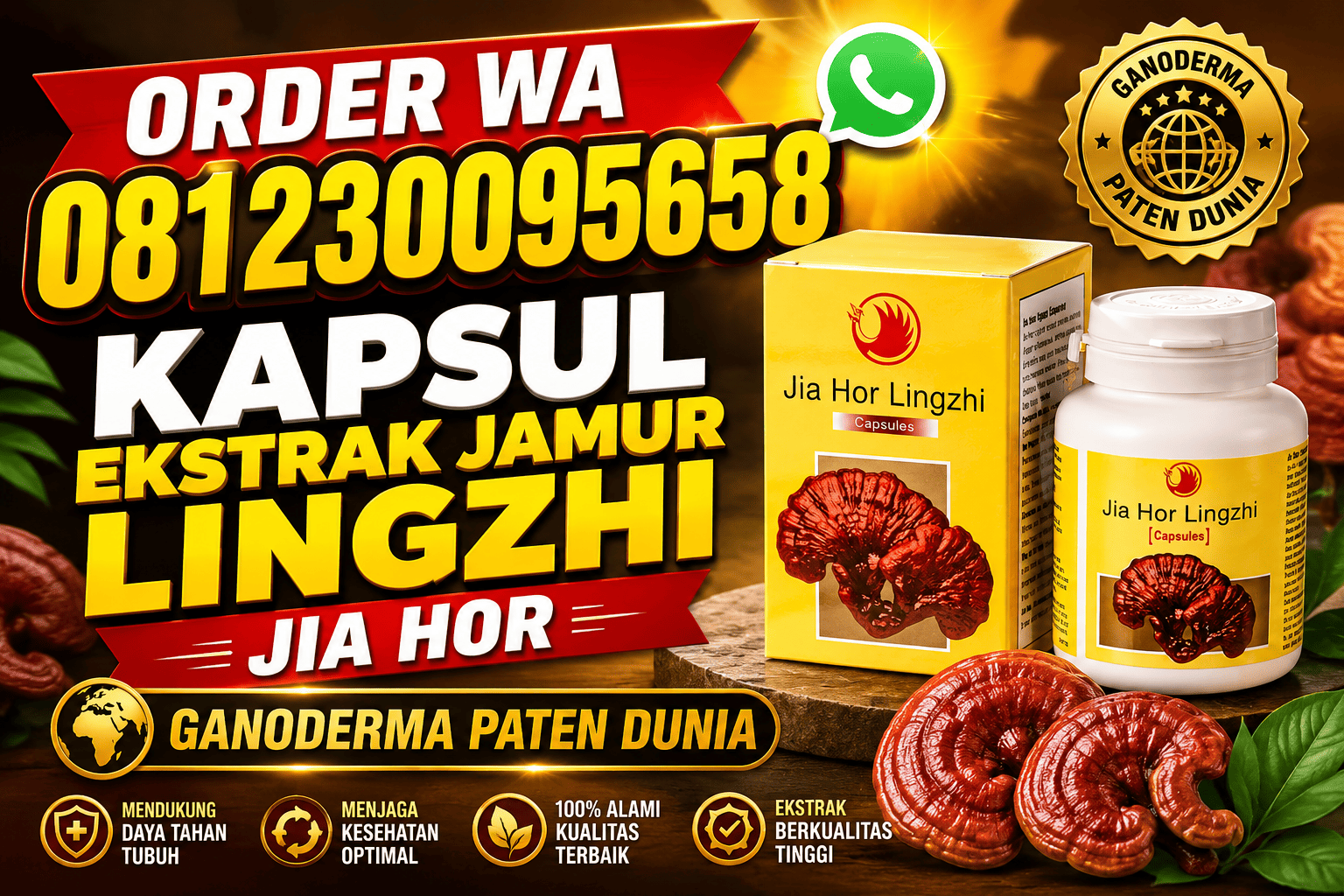 Distributor Kapsul Ekstrak Jamur Lingzhi Shuang Hor
