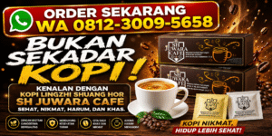 Jual Kopi Lingzhi Shuang Hor SH Juwara Cafe 